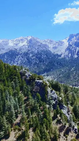 #keşfet #drone #video #orman #andırın #djı #neo #manzara #harmankaya #kadirli #kahramanmaraş 