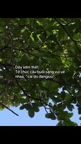 #xuhuong buổi sáng vui vẻ nhaaa câu ơi 🥰