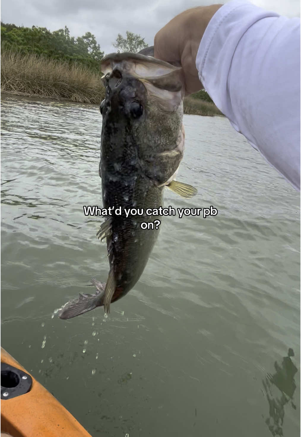 A senko for me. #fishing #fishtok #fup #foryou #fishinglife #fishingtiktoks 