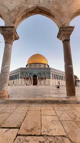 Dome of the Rock is in the middle  of Al Aqsa Mosque compound. #domeoftherock #alaqsa #mosque #islamic #jerusalem 