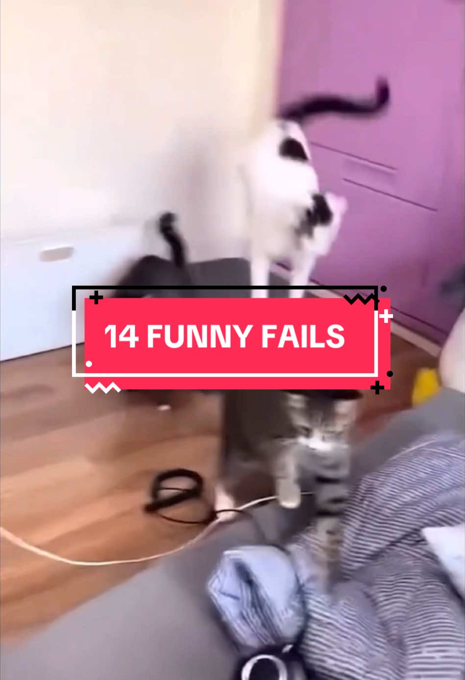 Try not to laugh😂😂 1️⃣4️⃣ funny animal’s moments Write in the comments which one you like the most👇👇 #fyp #foryou #viral #foryoupage #fail #funny #funnyvideos #failvideo #trending #prank #funnyfail #funnyfails #epicfail #failarmy #failoftheday #failcompilation #funnyfailsvideos #funnyfailsvideo #funnyfailscaughtoncamera #funnyfailsoftiktok #funnyclips #funnyvideo #funnymoments #funnytiktok #funnyy #funnymemes #funnyanimals #funnycat #funnydog #funnybaby #meme #comedy #omg #waitforit #noway #lol #lmao #laughoutloud #funnyreaction #instantregret #gymfails #bikefails #carfails #horsefails #dogfails #tinderfails #footballfails #funnytexts #failsusa #failfriday