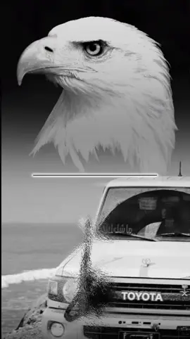 نطنخ وحنا باللوازم مطانيخ...!  ولازاد هرج الردي زدنا طناخه. ✌@الشاعر/علي سويدان العقيلي @الشاعر/ ابو رعد الجـ𓅓ـوفي711 