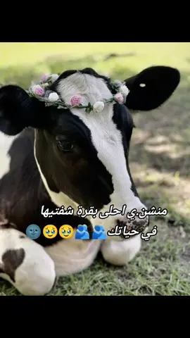 #الشعب_الصيني_ماله_حل😂😂 #هاشتاقات_تيك_توك_العرب 