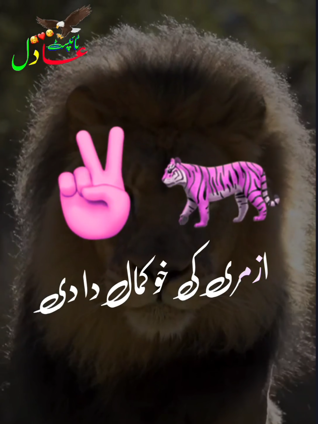Pashto Attitude Poetry ❤️#pashtopoetry✍️ #adil_typist423 #pashto_poetry423 #شاعری #غمگین #غمجن #محبت #پشتو #pashtopoetryشاعری #pashtopoetrytiktok #pashtoshayari #pashtopoetry #attitude #poetry #pashtonewsong2025 #pashtosong @TikTok @Adil Yousaf Zai @TiktokPakistanOfficial @Waliullah Sahibzada @🔥Adil Typist🔥 