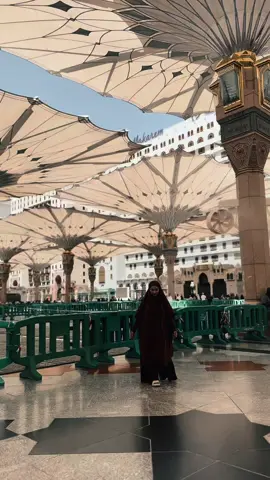 Ternyata orang yang nunggu suaminya di pintu 338 itu bukan aku 🥹.. 