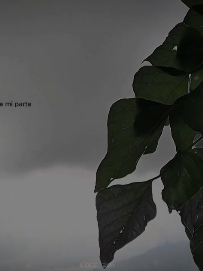 Parte 5 | Natanael Cano Lyrics - Me Gusta #natanaelcano #amis20 #nata #megusta #letra #pfy #video #edit #lyrics #videolyrics #natural #motivacion #ct #mexico 