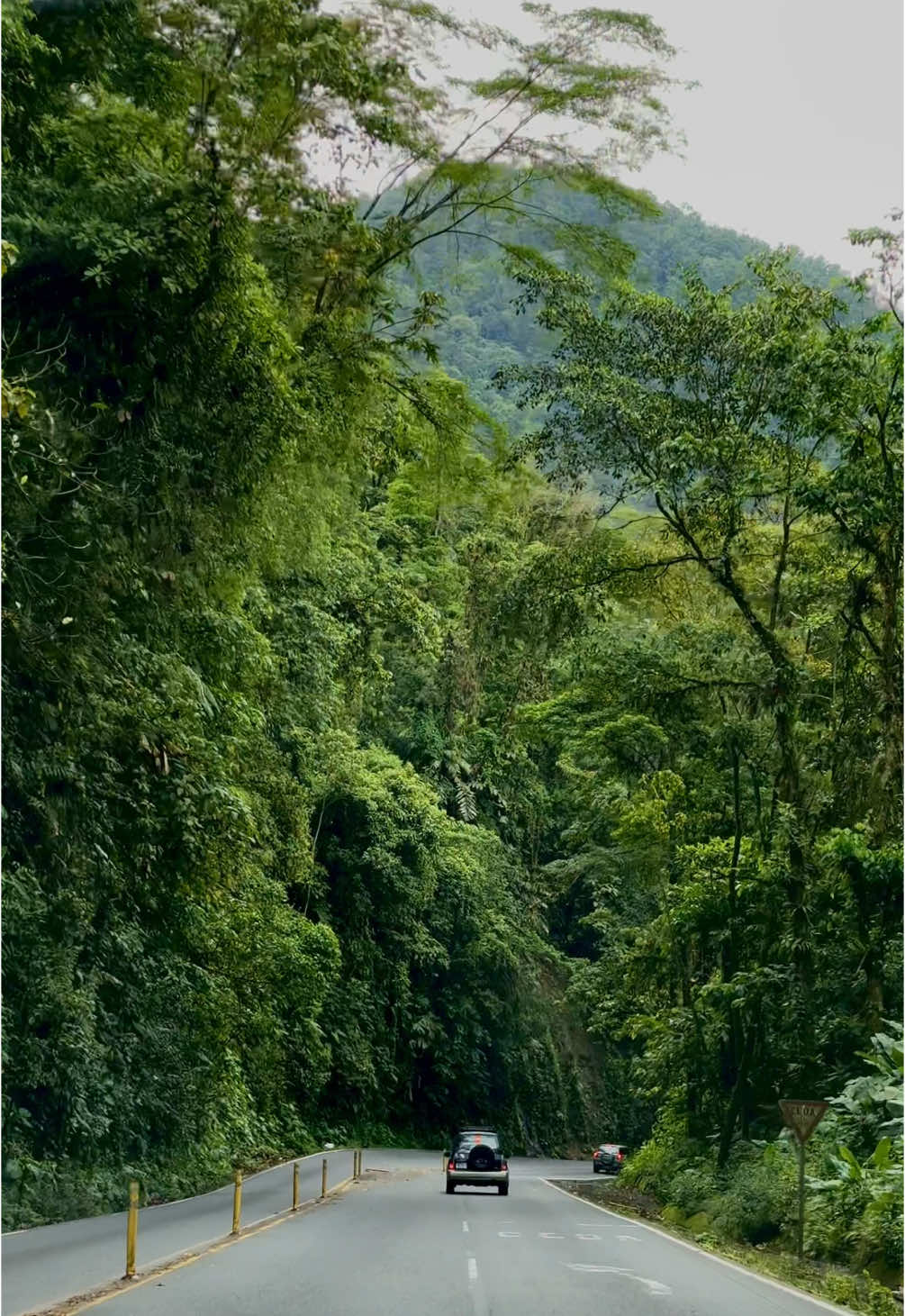🇨🇷🦖🦕 Ruta 32 Braulio Carrillo,  Belleza en lo cotidiano  #CostaRica #puravida #nuestratierra #ruta32 #brauliocarrillo #paraiso #turismo #dinosaurios 