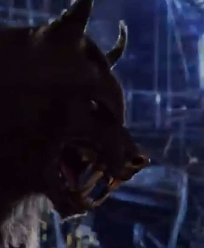 Van Helsing🔥                                              #viral #wolf #wolfedit #werewolf #werewolfedit #vanhelsing #foryou #fypシ゚ #wolves #wolvesedits #wolvespack🐺 #sigma 