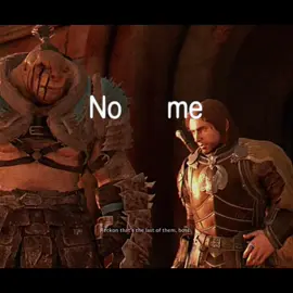 Бруз... #мем #мемы #талион #средиземьетенивойны #тенивойны #talion #shadowofwar #middleearthshadowofwar #mem #meme 