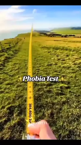 Phobia test... #viral #virall #viraltiktokvideo #viraltiktok #viralvid #relapse #fypシ゚ #fyp #fypp #fypage #fypppppppppppppp #fyppppppppppppppppppppppp 