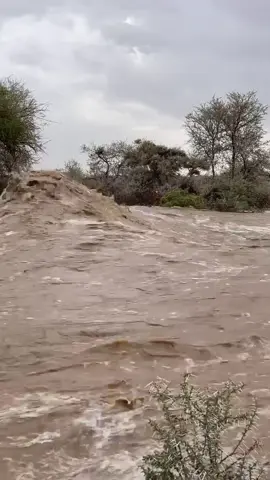 سيول القاعه اليوم 1446/10/20#تصويري📸 #الديره_الجنوب #القاعه_بلاد_ناهس #أمطار_الجنوب #pov #ترند #خميس_مشيط #أبها 