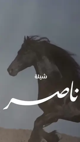 شيلة عريس باسم ناصر 2025 شيله مدح ناصر - اداء مهنا العتيبي #شيلة #ناصر 
