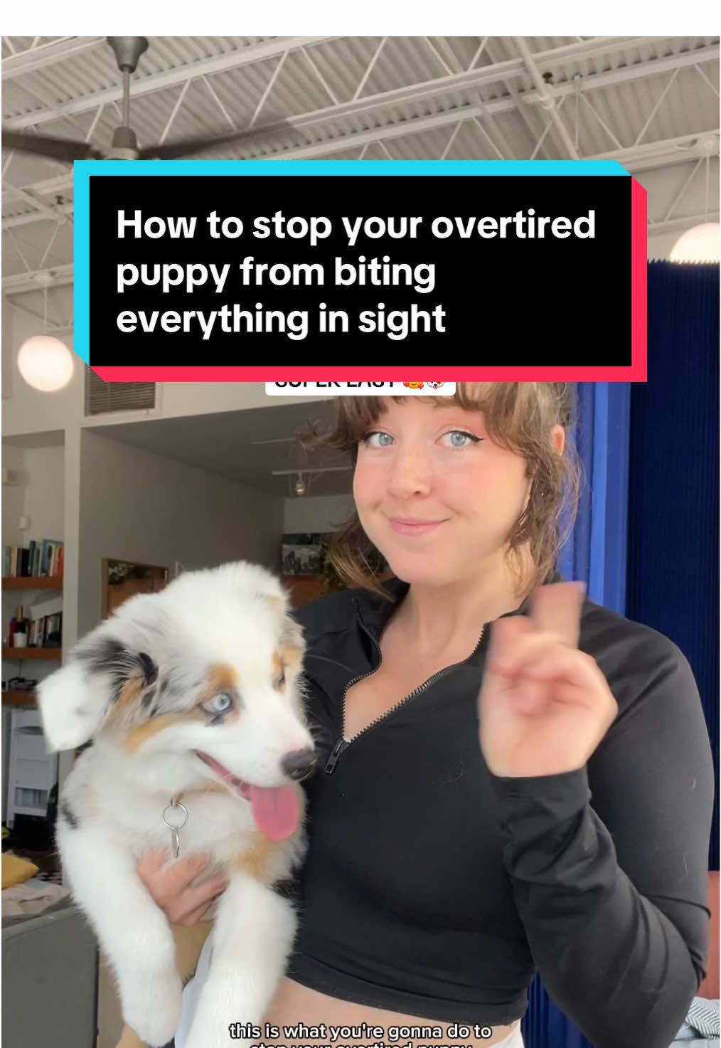 I teach this and so much more in my Ultimate New Puppy Guide- grab your copy today with 25% off (code TIKTOK) 🐶❤️ #puppybiting #12weekoldpuppy #dogtrainingtips #newpuppyvibes #puppytraining 