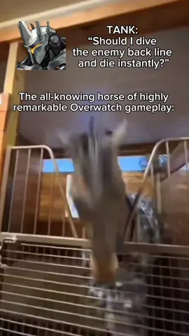 Honestly me sometimes #overwatch #overwatch2 #funny #brainrot #meme #overwatchmeme  #streamergirl 