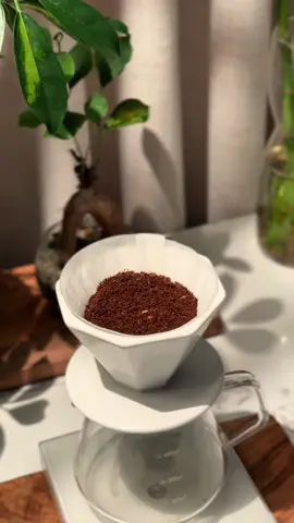 مكثره في فؤادي الودادي زوال غيب أزوال #عبدالمجيدعبدالله #عبدالمجيد_عبدالله #مجيد #اغاني #بدون_موسيقى #your_coffee #v60 #ترند 