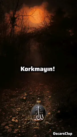 Allah buyurdu ki :  Korkmayın! Çünkü ben sizinle beraberim, herşeyi işitiyor ve görüyorum! 