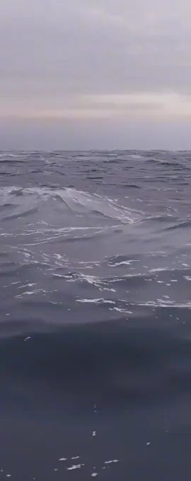 #fyp #tictok #crazy  like share comment and follow for more !!! 🫶