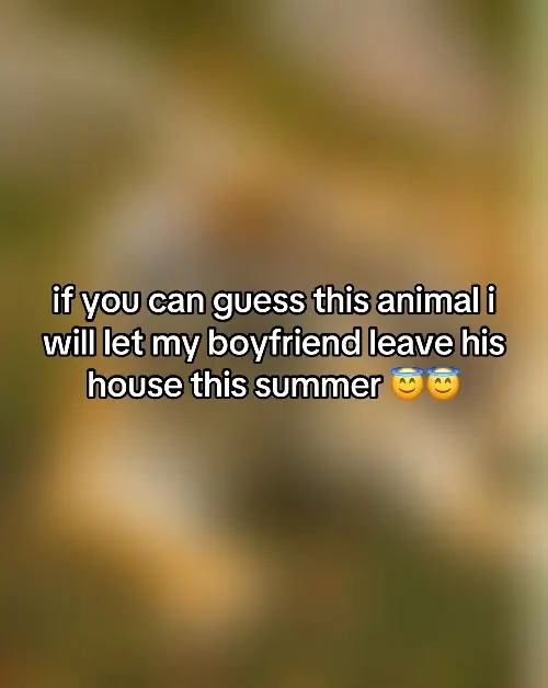 hopefully yall guess it right 🥹
