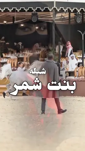 افخم شيلة باسم لطيفه 2025 - شيلة مدح بنت شمر اداء احمد الرجعان  #شيله #باسم #لطيفه #شيلة #مدح #بنت #شمر #لطيفه 