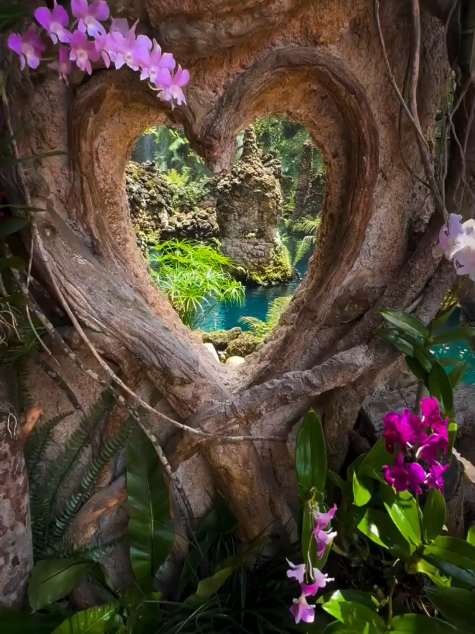 One minute of peace surrounded by nature. Relaxing landscapes, gentle sounds, and a visual escape for your mind. Save this video for when you need to unwind. #naturerelax  #calm #1minutodepaz #paisagens 