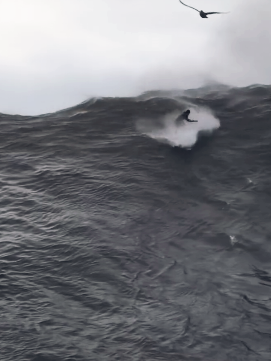 #lucaschumbo #surfing #mavericks #surf #bigwaves #surfboard #fyp #surfrock #aliceinchains 