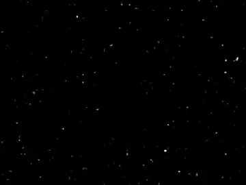 متأذي شابع ضيم.                                           #اكسبلور 