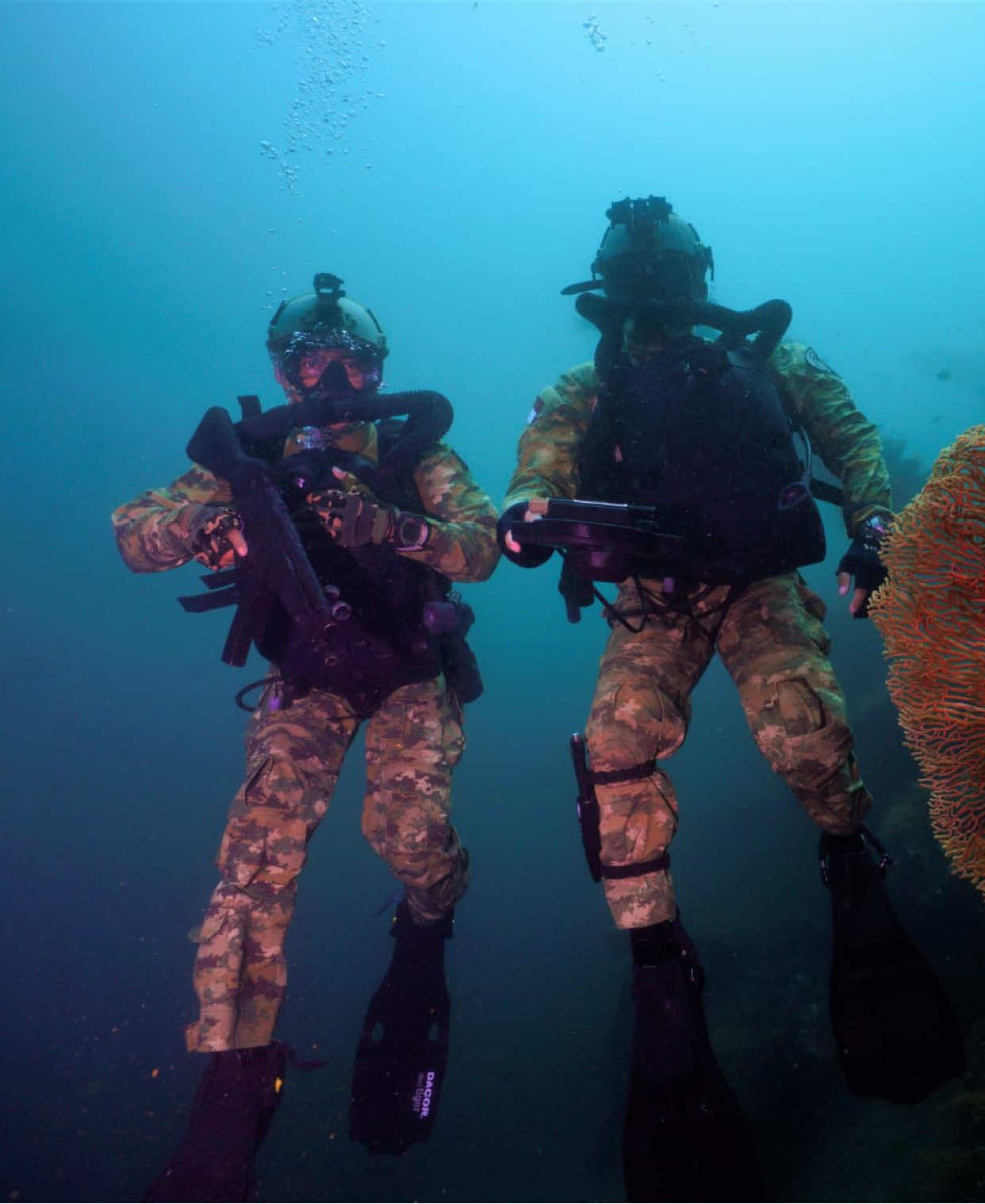 Hello Genk ☠️🔥  #specialforces #kopaska #tnial #tni #fyp 
