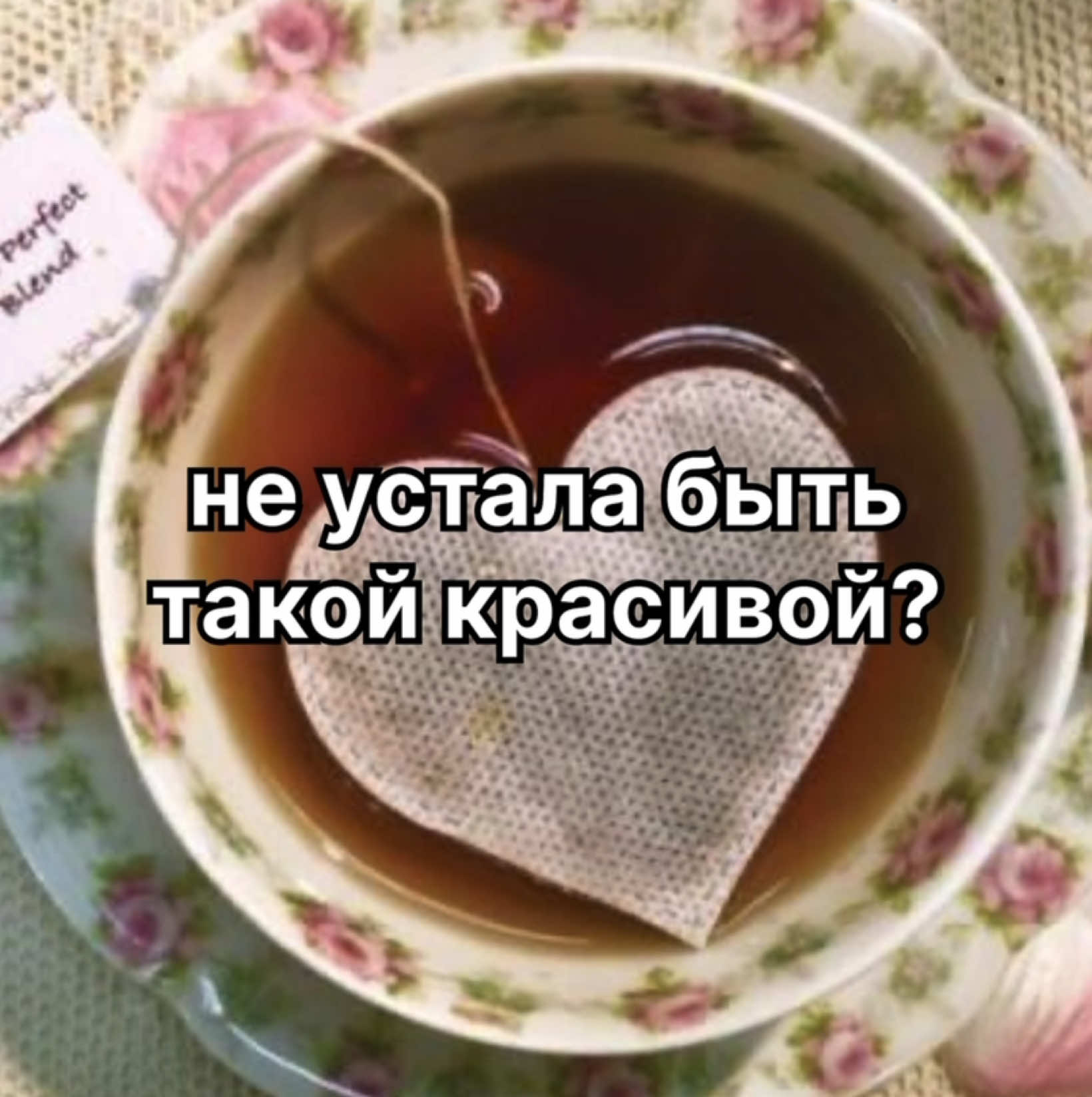 @🤍⛓️ @Wsx @AAAAAAAАА  #подруга#щп#веселыещп#щитпост#красивая