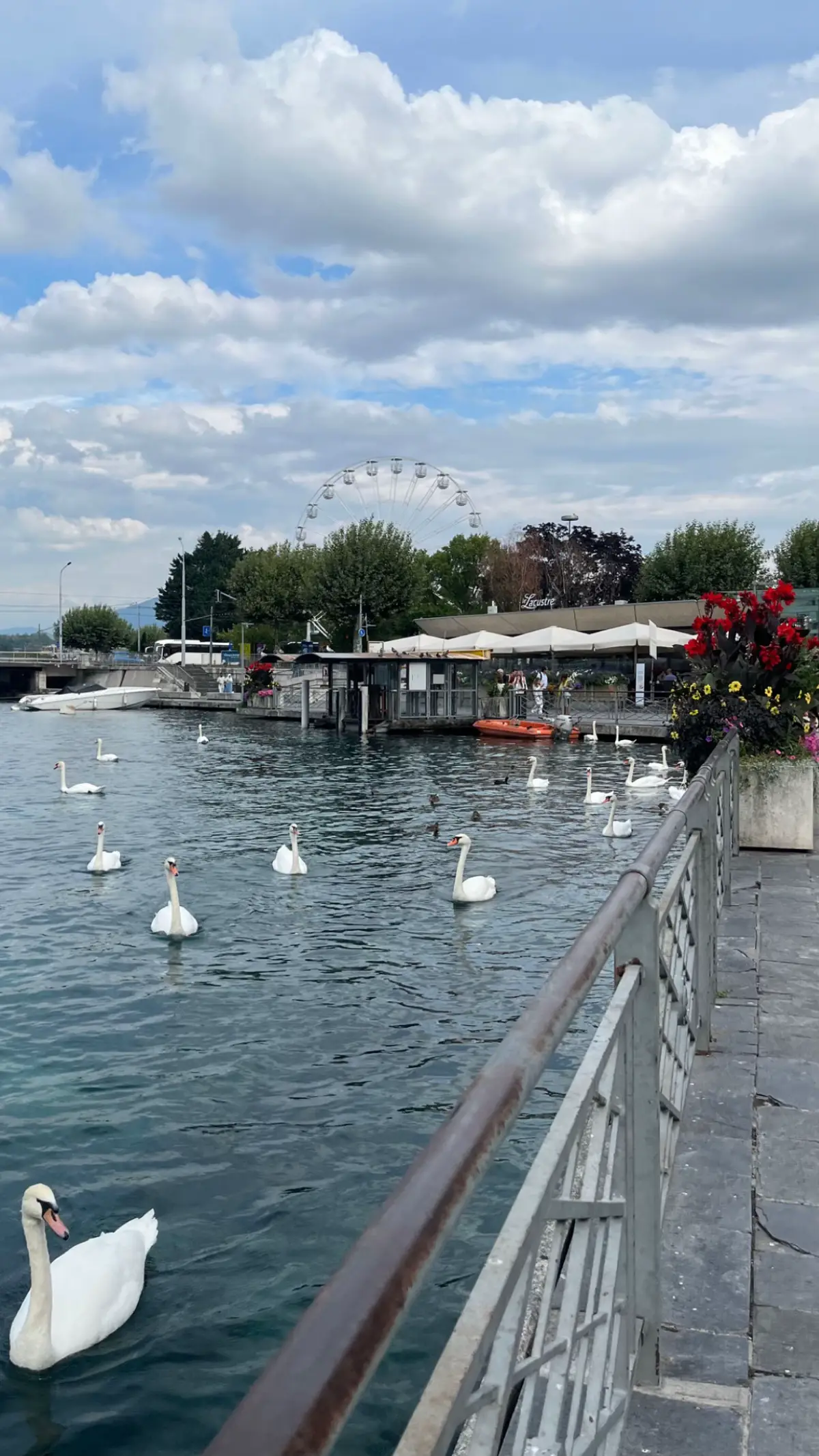 #fyp #foryou #explore #geneva #switzerland 