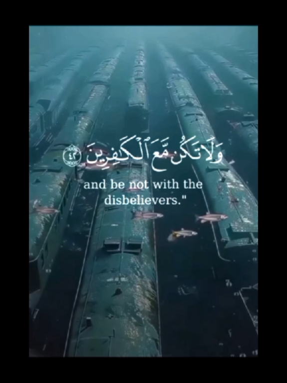 ولاتكن مع الكافرين#قران_كريم #صدقه_جاريه #السعودية #usa_tiktok #فرنسا🇨🇵_بلجيكا🇧🇪_المانيا🇩🇪_اسبانيا🇪🇸 #اسبانيا🇪🇸_ايطاليا🇮🇹_البرتغال🇵🇹 #المغرب #italy #الشعب_الصيني_ماله_حل😂😂 #الاردن #سوريا 