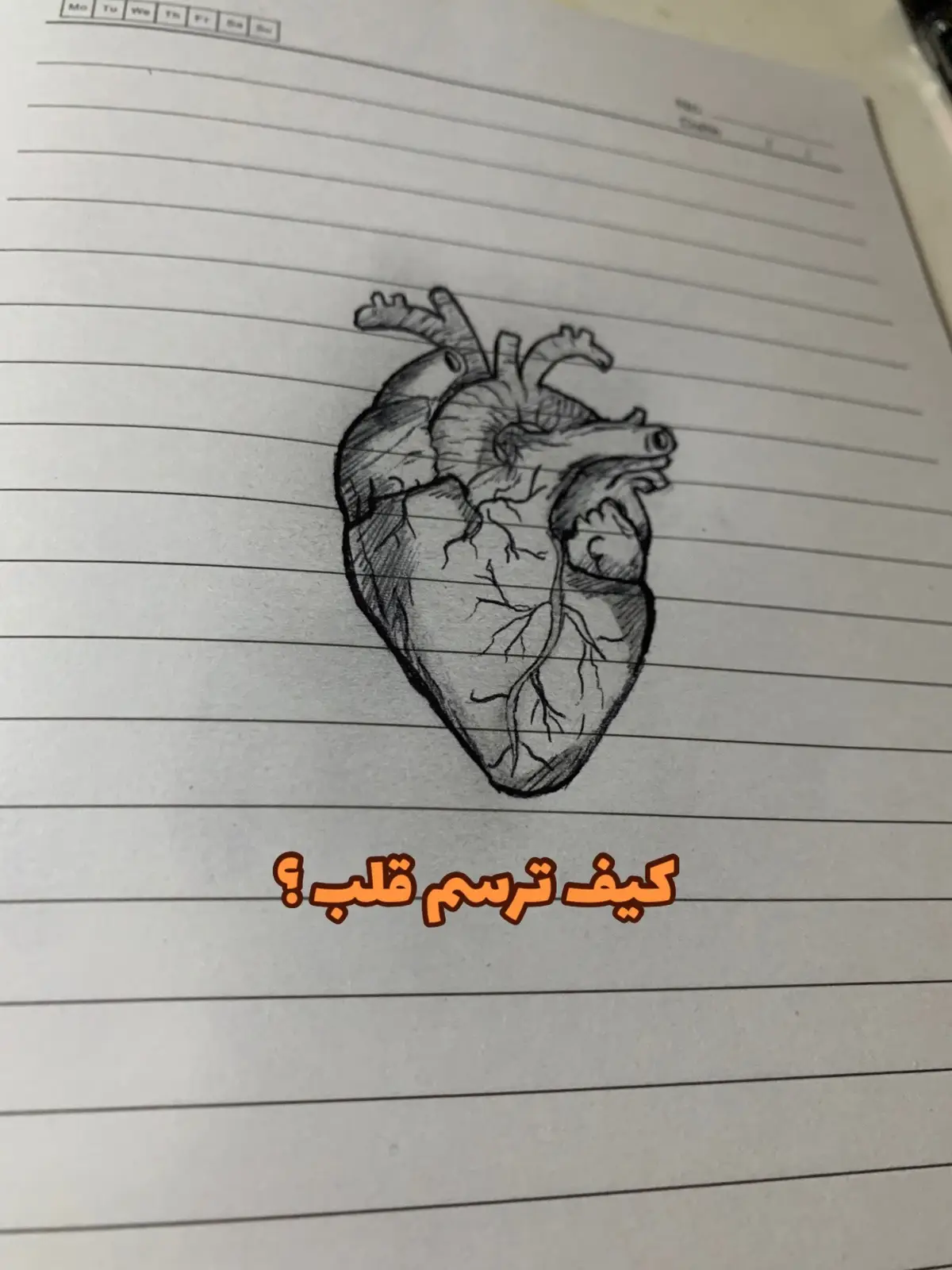 #رسم #تعليم_الرسم #رسم_خطوة_بخطوة #رسم_سهل #قلب #رسم_قلب #رسم_قلب_الانسان #art #draweasy #draw #heartart 