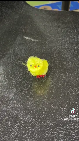 This has been one of my favorite activities with my kids! They were responsible for showing up each day to warm their eggs. It kept them in their seats, and they were so excited to come to school! #kindergarten #kindergartenteacher #kindergartenlife #school #easter #easteregg #chicks #teachersoftiktok 