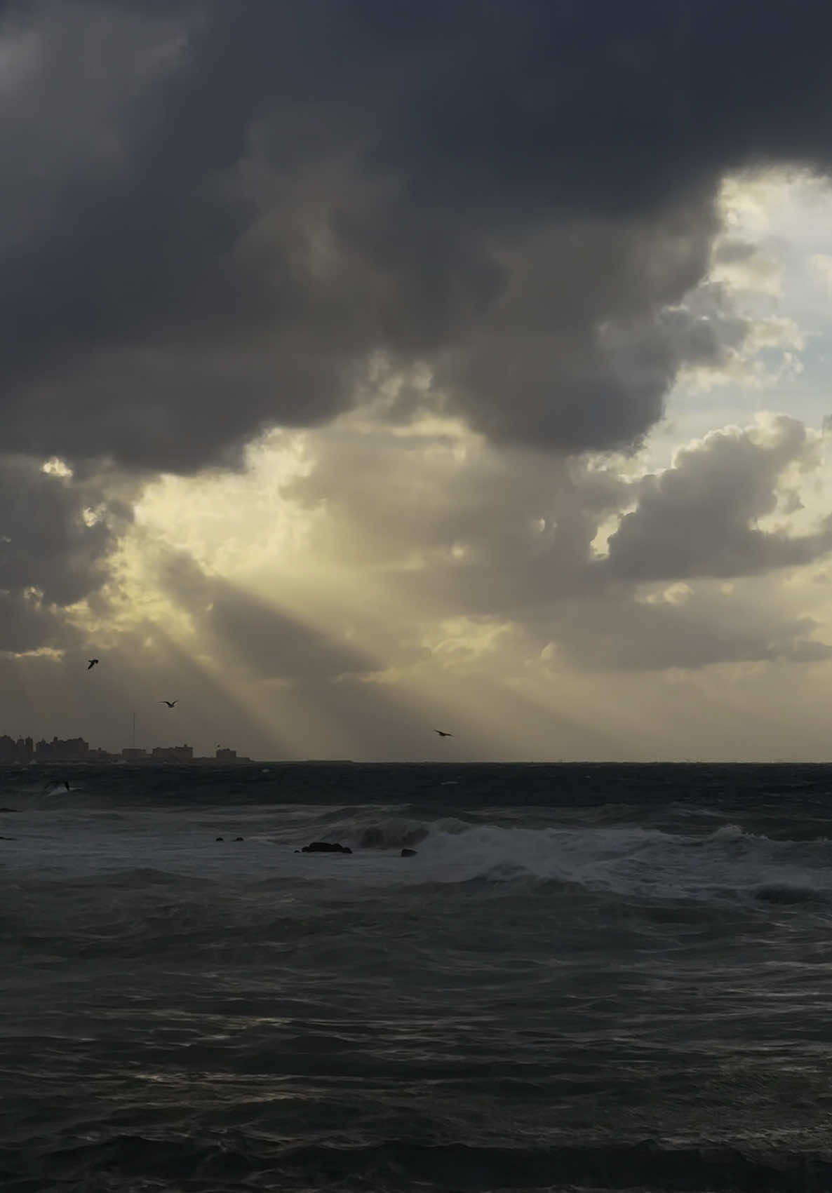 #alexandria #egypt #myegypt #thisisegypt #2025 #thewalk #fyp 