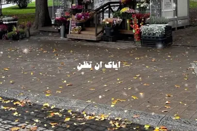الشيخ/ مبروك زيد الخير☘️🤍. #الشيخ_مبروك_زيد_الخير #مبروك_زيد_الخير 