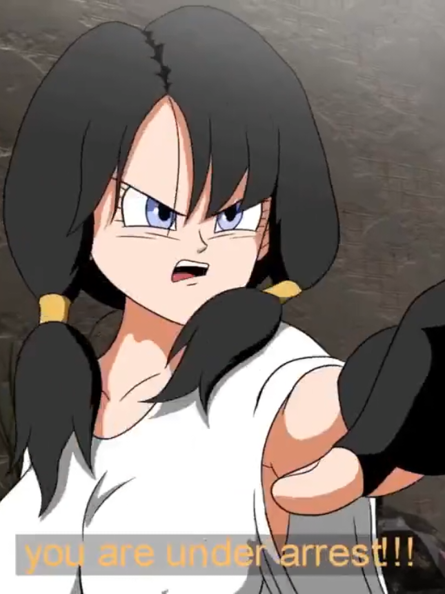 Name - Videl mini by Chuchozepa #fyp #fypp #foryoupage #relatable #video #tik_tok #viral_video #viralvideos #trendingvideo #fouryou #funny 