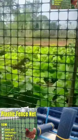 Plastic net fence,garden Fence plastic for animal yard #fence #plasticfencenet  #gardenfencenet  #fencenet sa manok