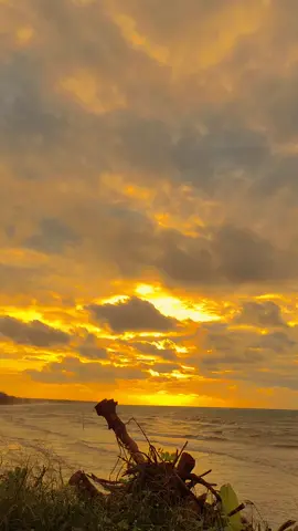 #somebodypleasure #sunset #vibes #fyp #xybca #foryou #pantai 