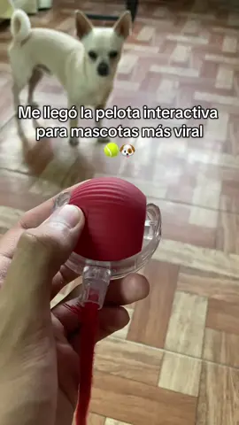 Estimula a tu perro con este juguete 🐶🥎 #dog #perros #jugueteparaperro #amantesdelosperros #pelota #pelotainteractiva La pelota interactiva para tu mascota ya sea perro o gato la cual ayudará a estimular a tu perro ideal para regalárselo a tu amigo o amiga que tiene un perro que es muy energético.