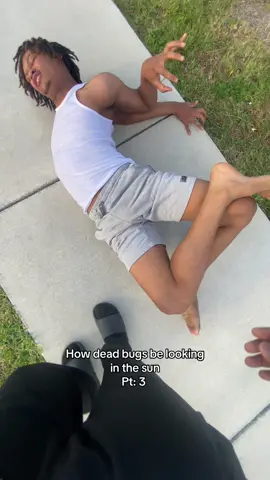 How dead bugs be looking in the sun 😂😂😂 #bugs #sun #fypシ゚viral #dead 