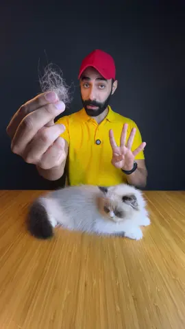 ايش اكثر شي يسبب تساقط شعر قطتك !؟