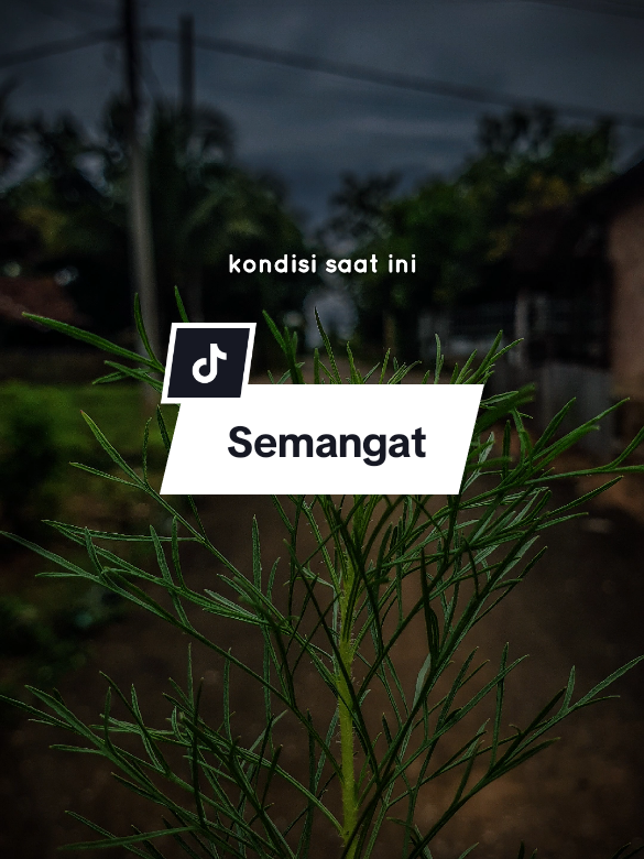 Kondisi saat ini #CapCut #kehidupandidunia #kehidupan #motivasihidup #status #fyppppppppppppppppppppppp #fyp #viral #tranding #story #storywa #katakata #semangatberjuang 
