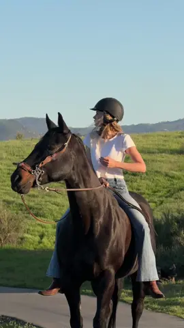My girl 💞 #horse #quarterhorse #fyp #california #qh #horsesoftiktok #horsegirl #malibu #foryou @The PaddockEQ 