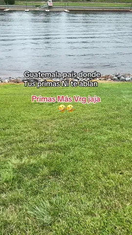 #paratiiiiiiiiiiiiiiiiiiiiiiiiiiiiiiiiii🦋 #videovirall 