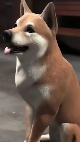 Dog Waited Ten Years For His Owner 😢