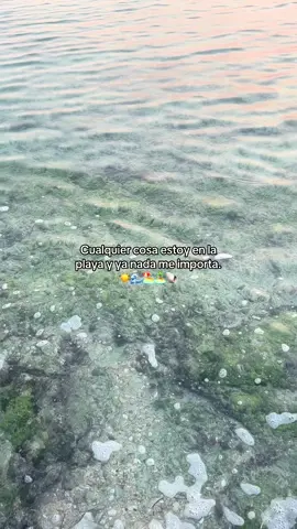 Soy del mar 🧜‍♀️ #atardecer #mar #sol #batbuny #dtmf #paratiiiiiiiii #feliiiiiiz #viral 🌊🧜‍♀️🪸⚓️🌅🐚