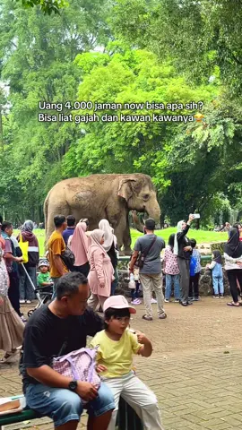 Anak senang dompet mama tenang😂 #ragunanzoo #ragunanjakarta #wisataanak #wisatajakarta 