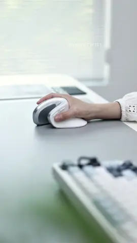 My wrist finally feels great,this thing’s super ergonomic and totally budget-friendly #ergonomic #officesetup #gaminggear #vertical #mouse #Tech 