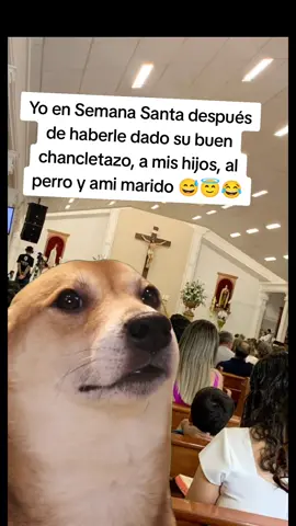 #Meme #MemeCut #CapCut #semanasanta 