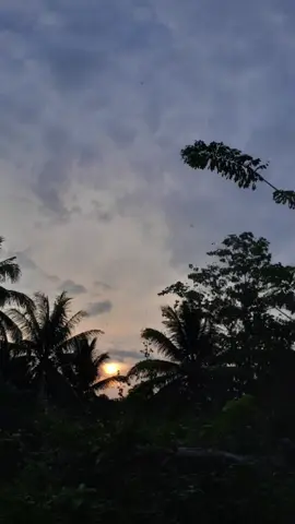 #CapCut #lyrics #nasheed #arabic #kunfayakun #bismillah #life #lirik 