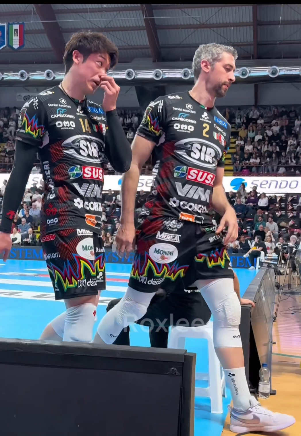 Yuki vs his button nose 🤧🤥 #yukiishikawa #ishikawa #volleyball #superlega #perugia #sirsusavimperugia #RJN #italy #japan 